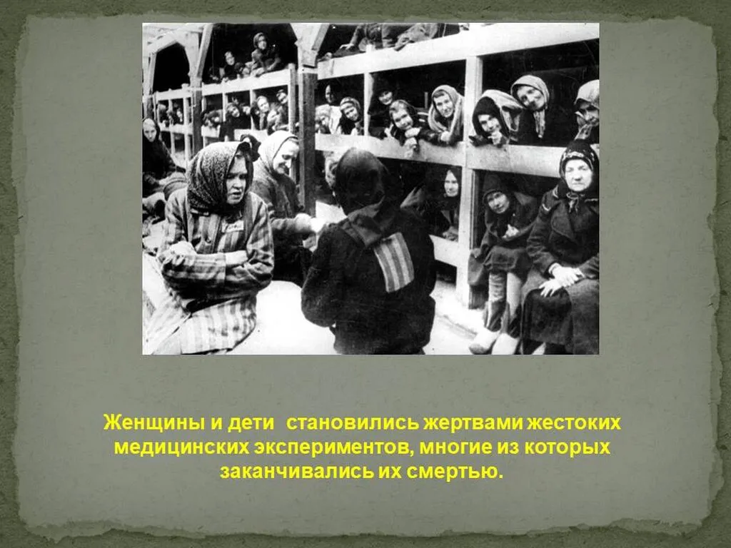 Слайд8
