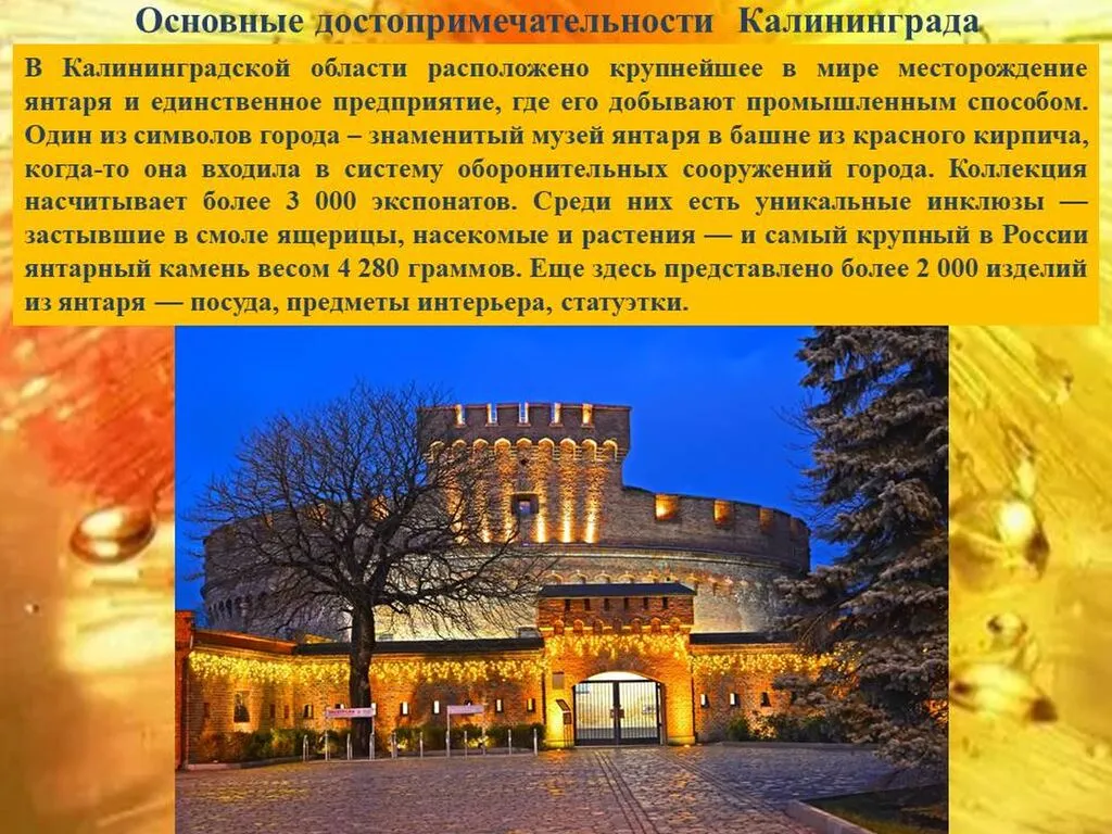 Слайд6