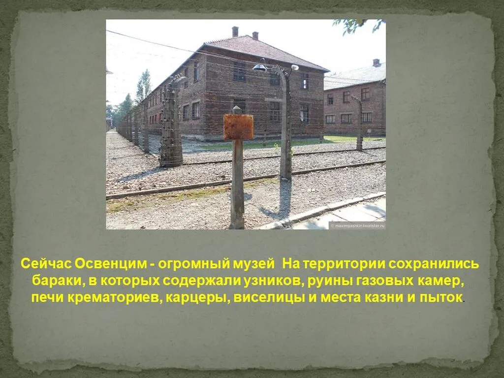 Слайд9