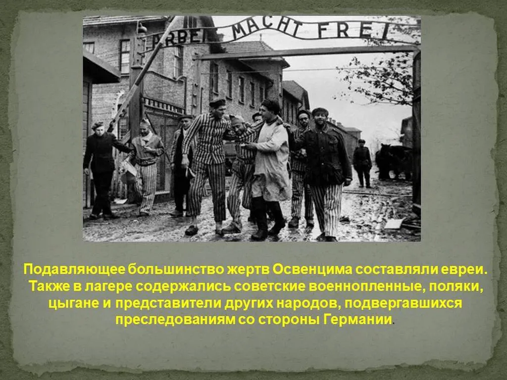 Слайд6