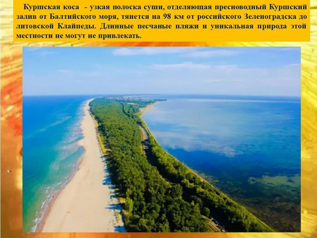 Слайд11