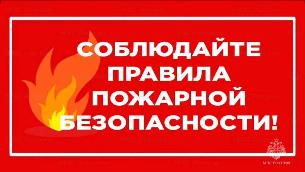 Слайд12