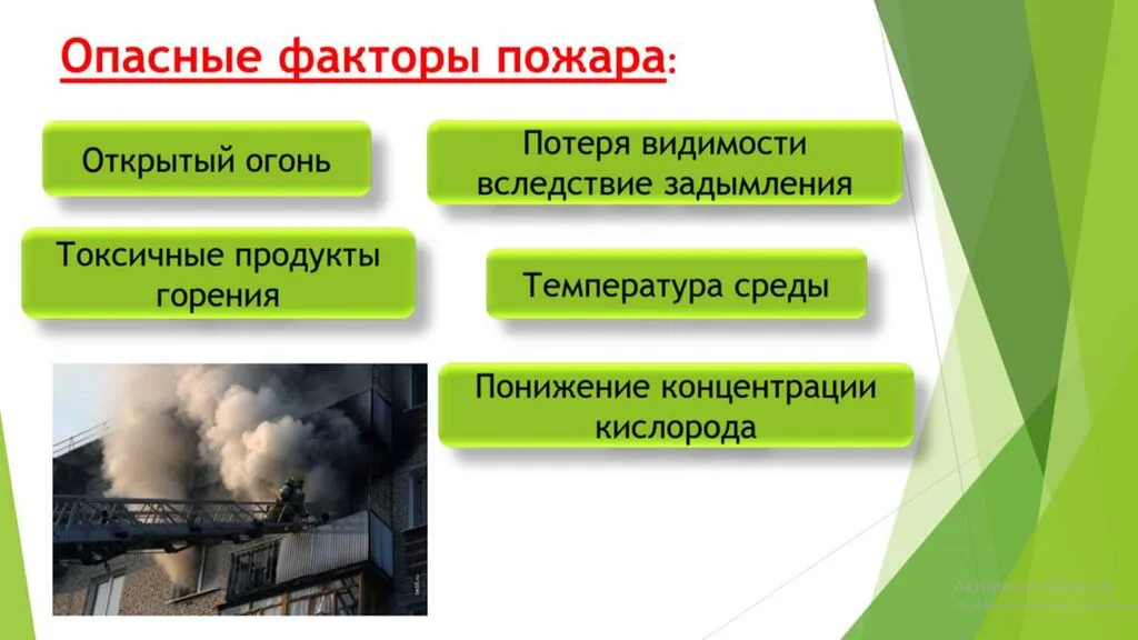 Слайд5