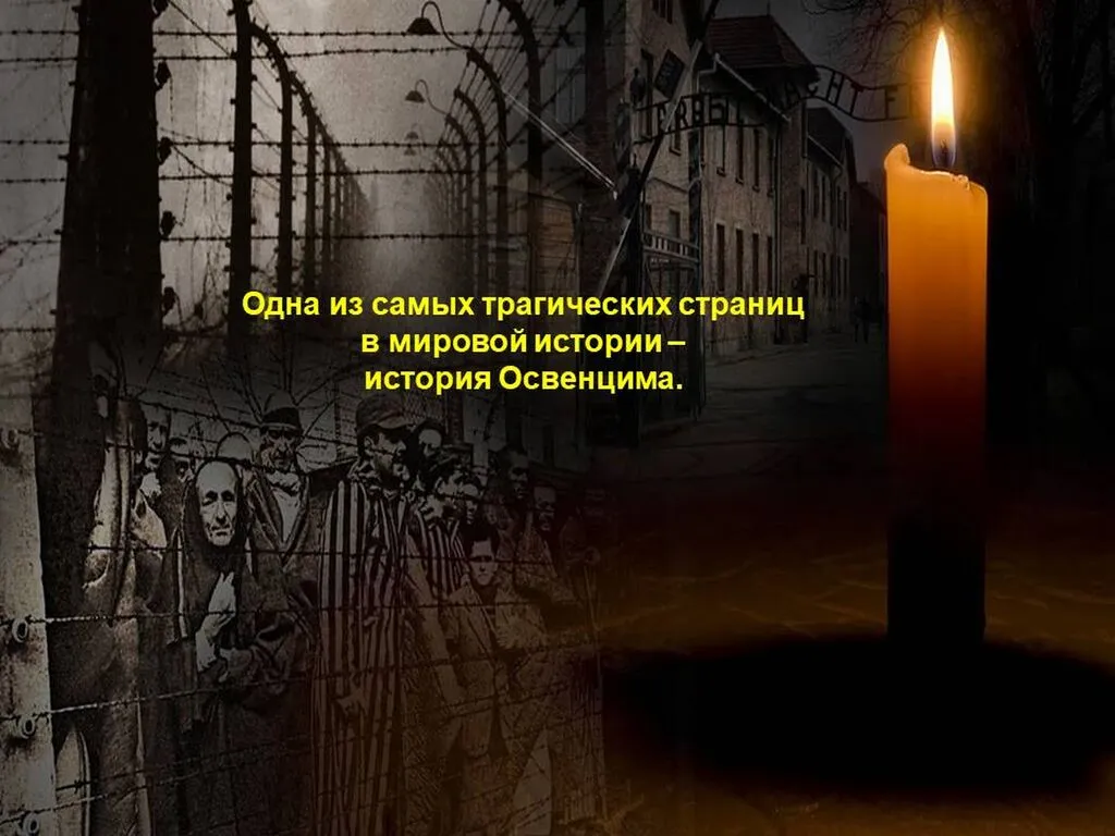 Слайд3
