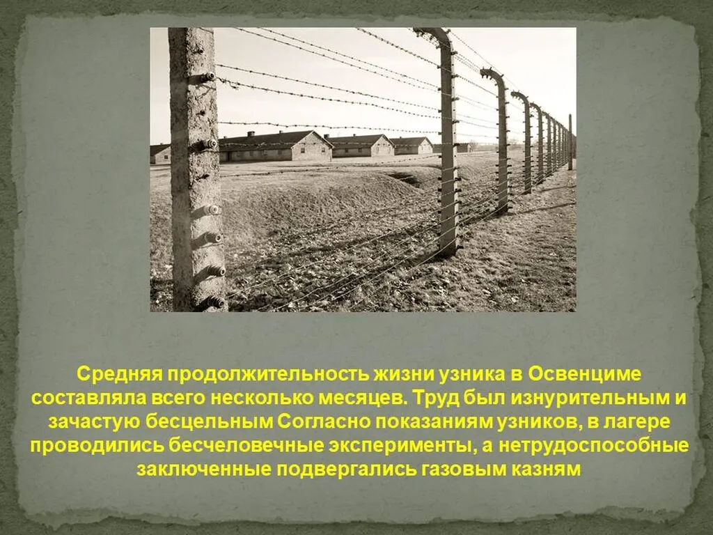 Слайд7